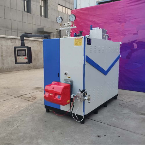 立浦热能1t燃气蒸汽发生器在生物设备行业中的应用